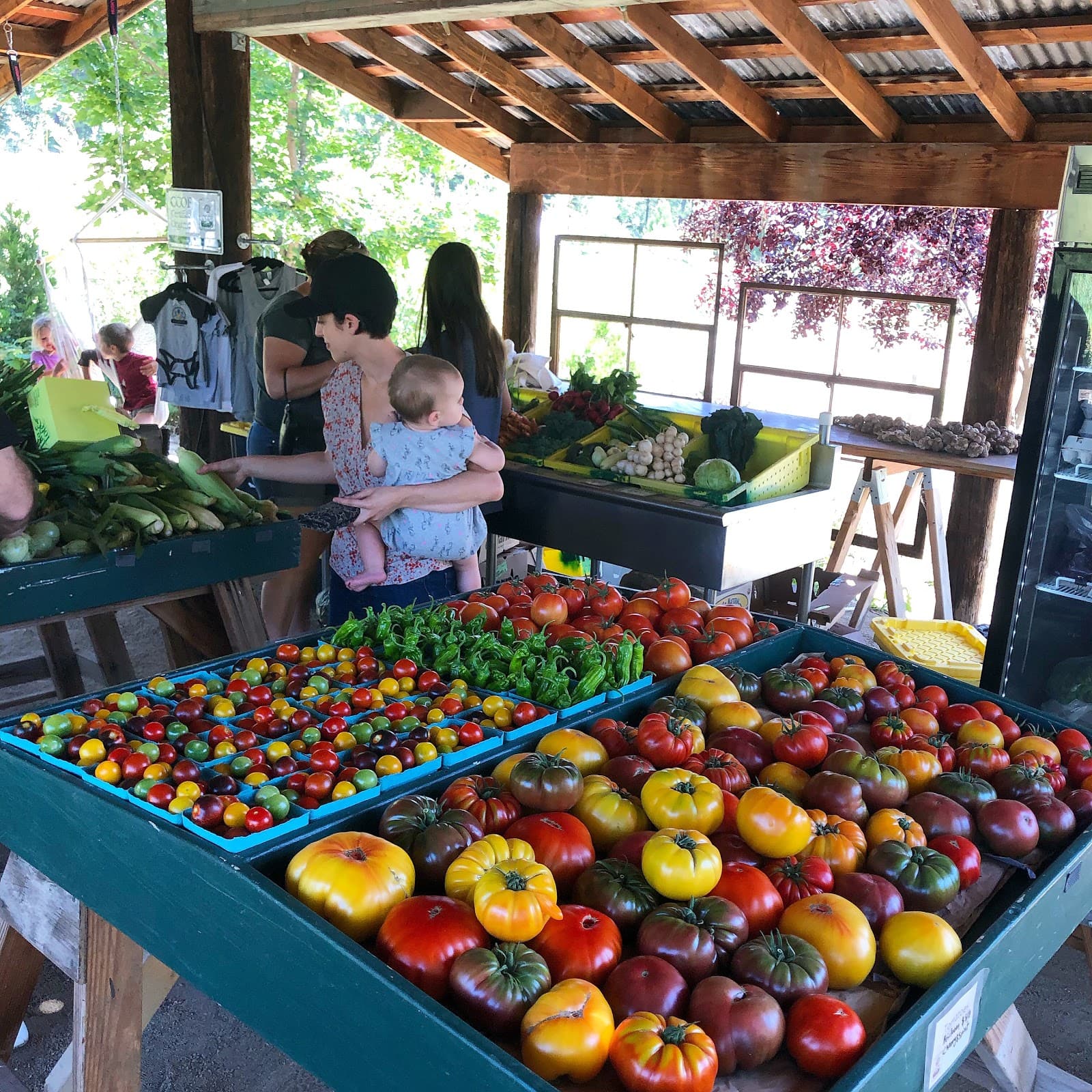 24Carrot Farm u-pick farm