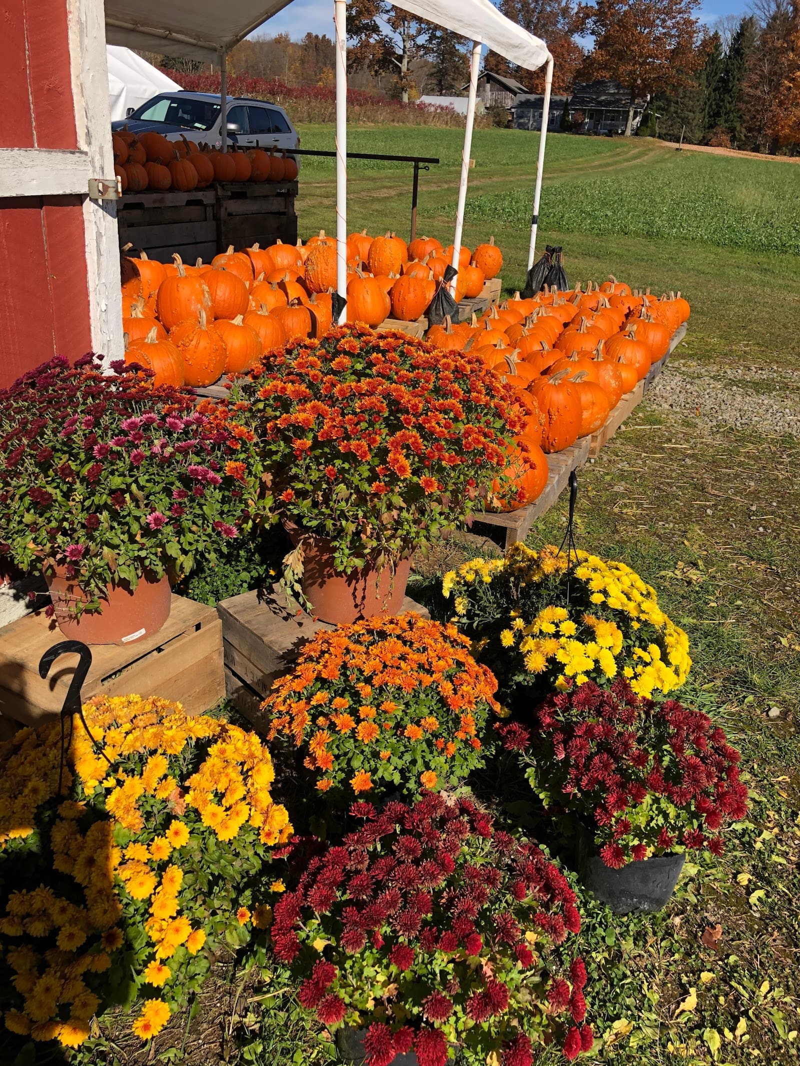 Abers Acres u-pick farm