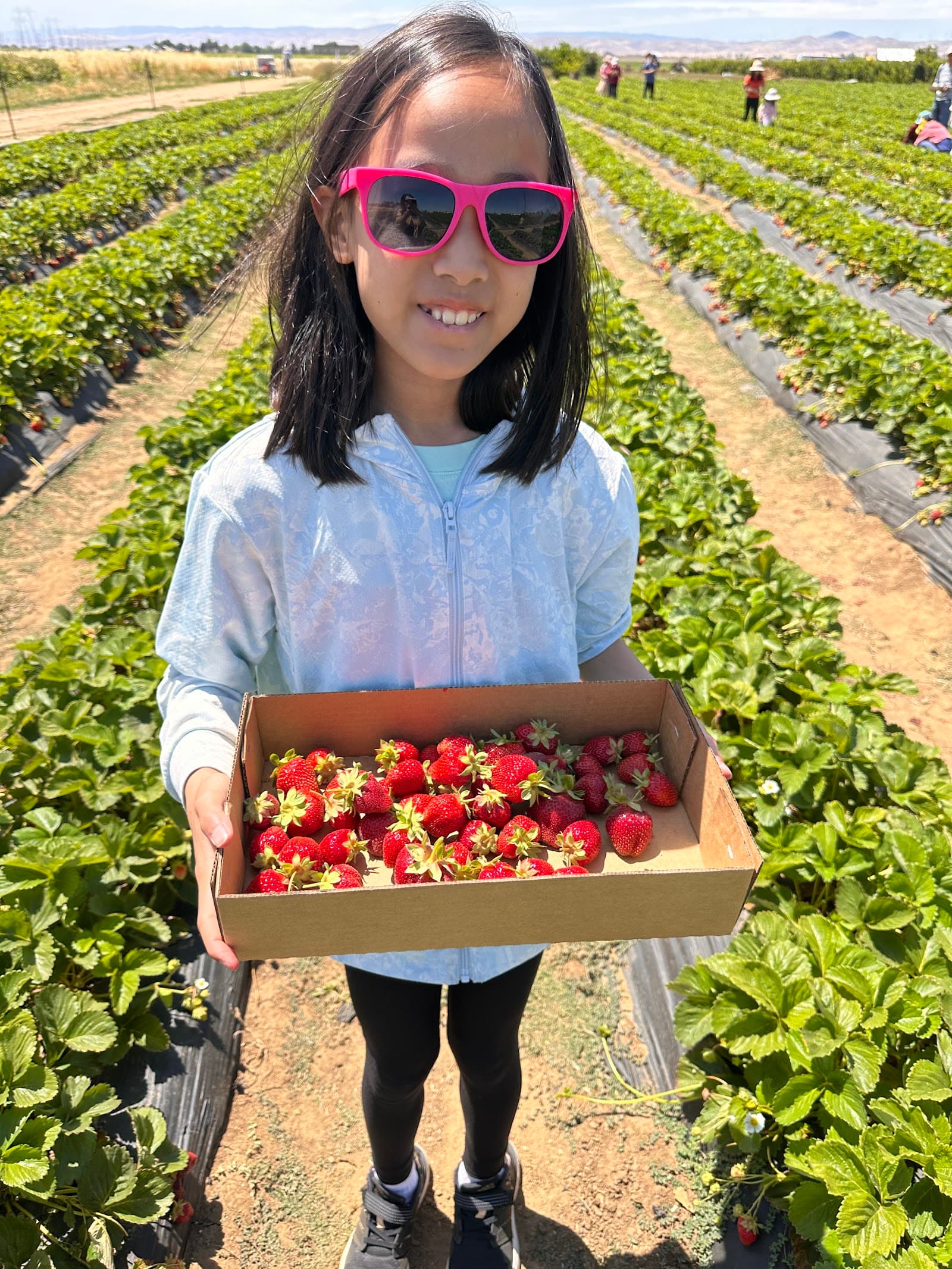 Ah-Mayβs Strawberry U-Pick u-pick farm