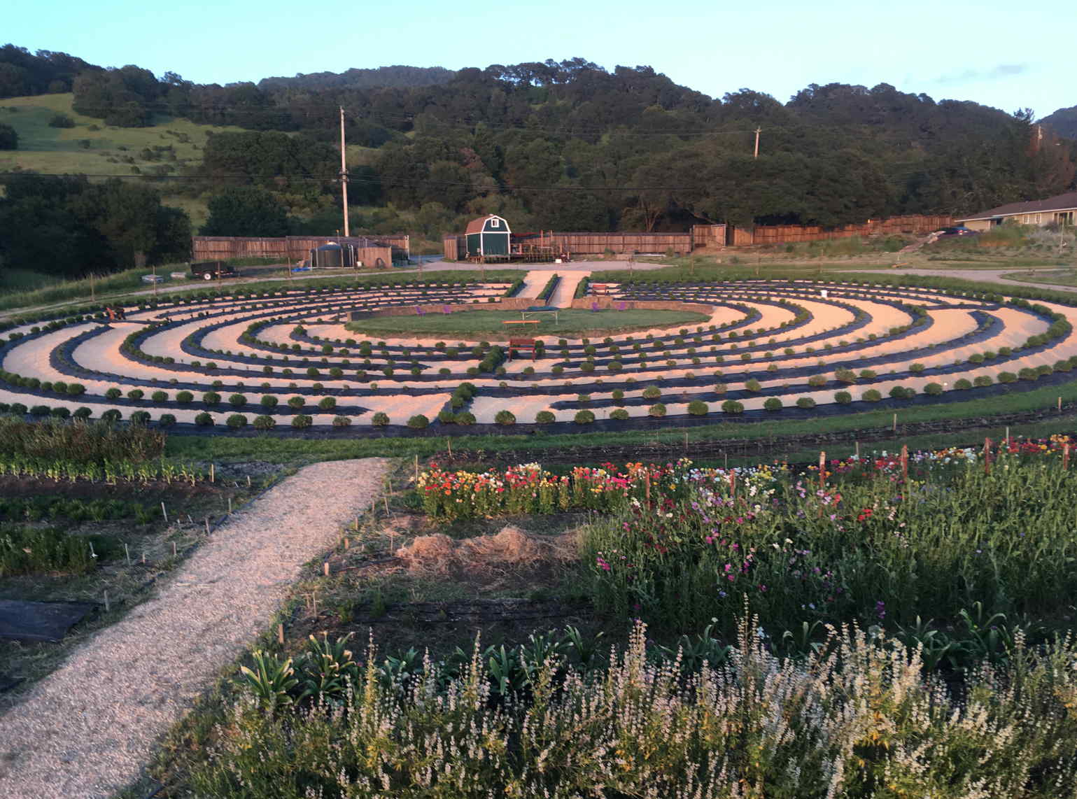 Bees N Blooms u-pick farm