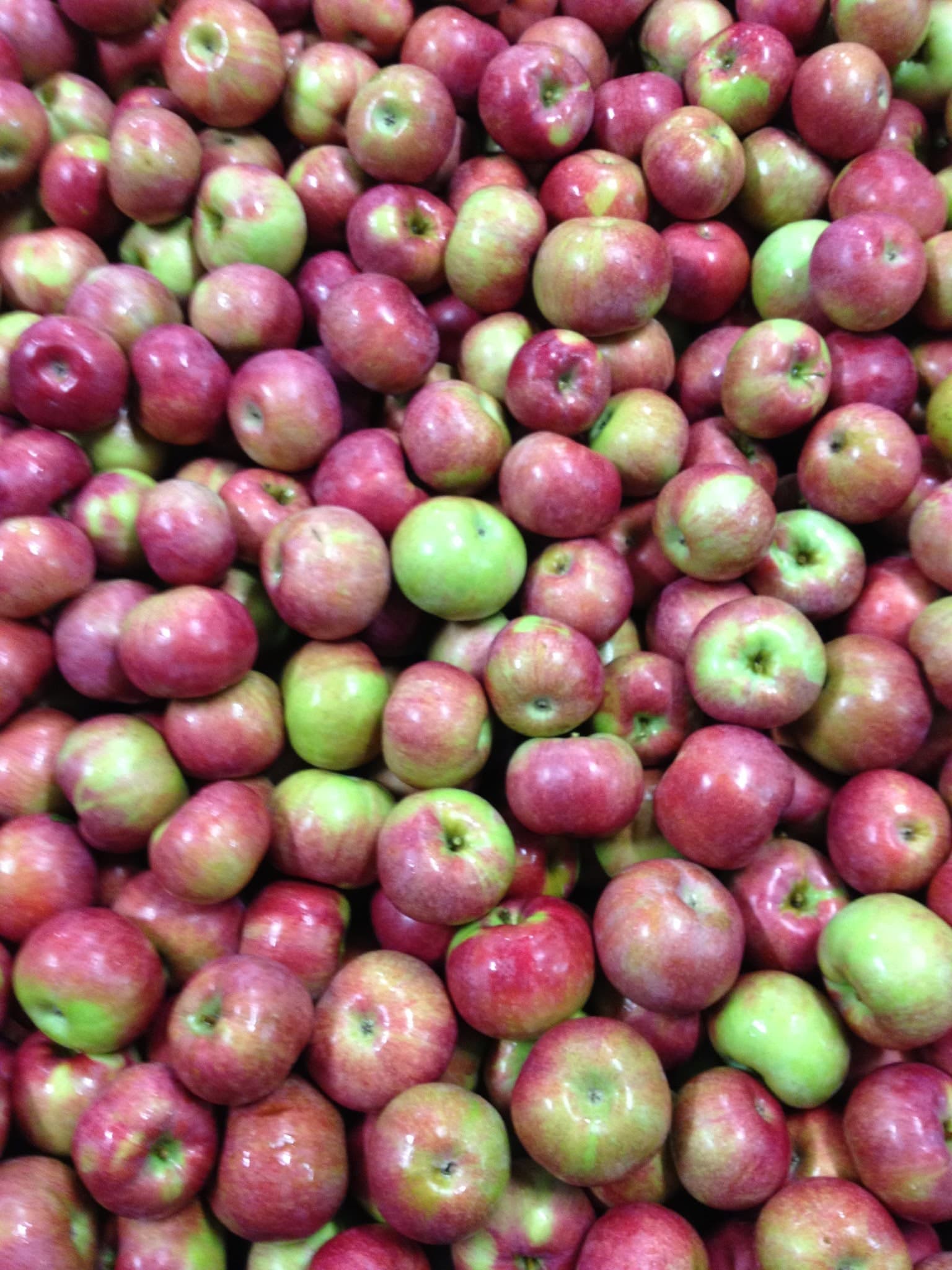 Bowman Orchards u-pick farm