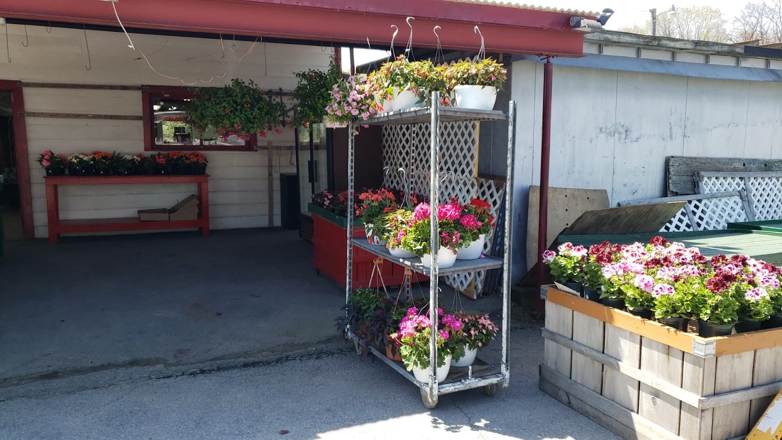 Buhrmaster Farms u-pick farm