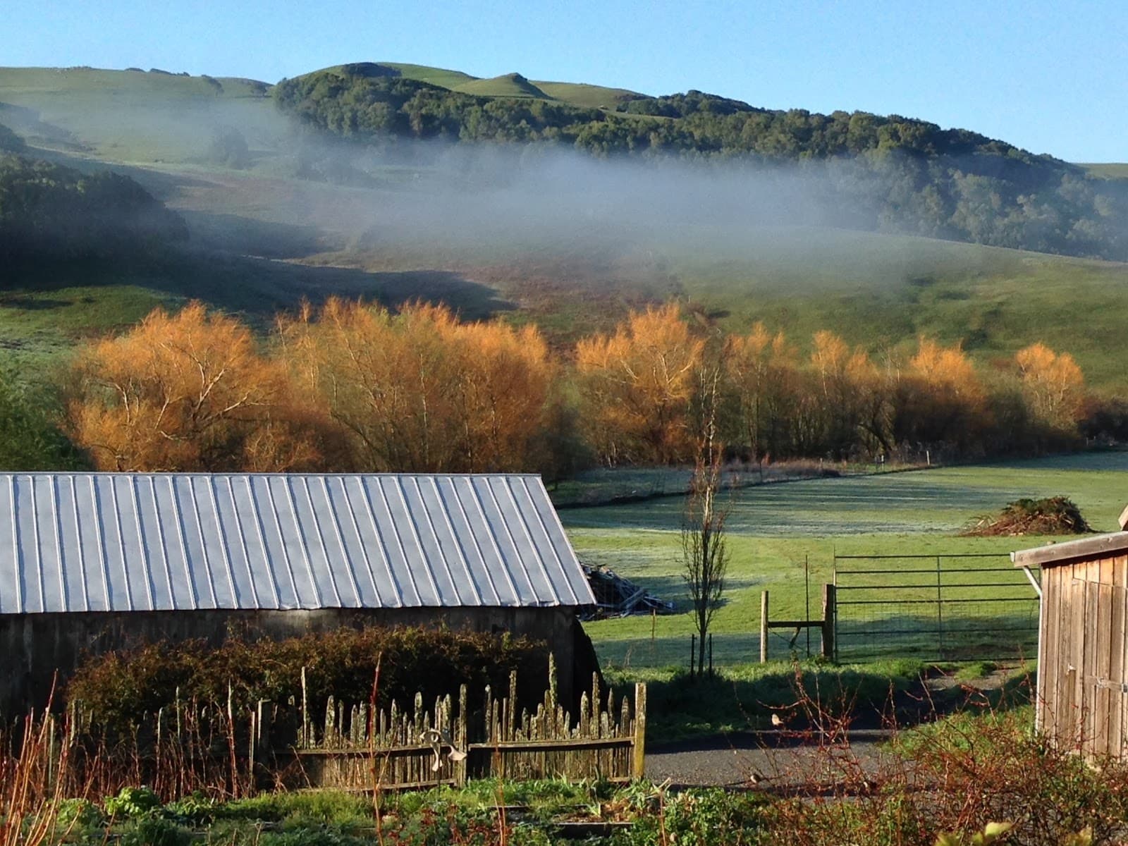 Chileno Valley Ranch u-pick farm