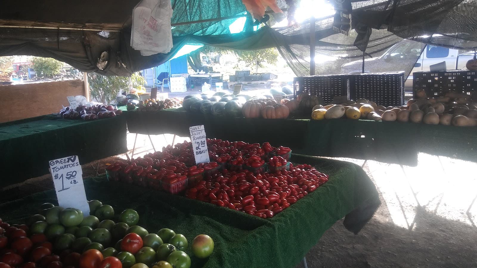 Corona Farm u-pick farm