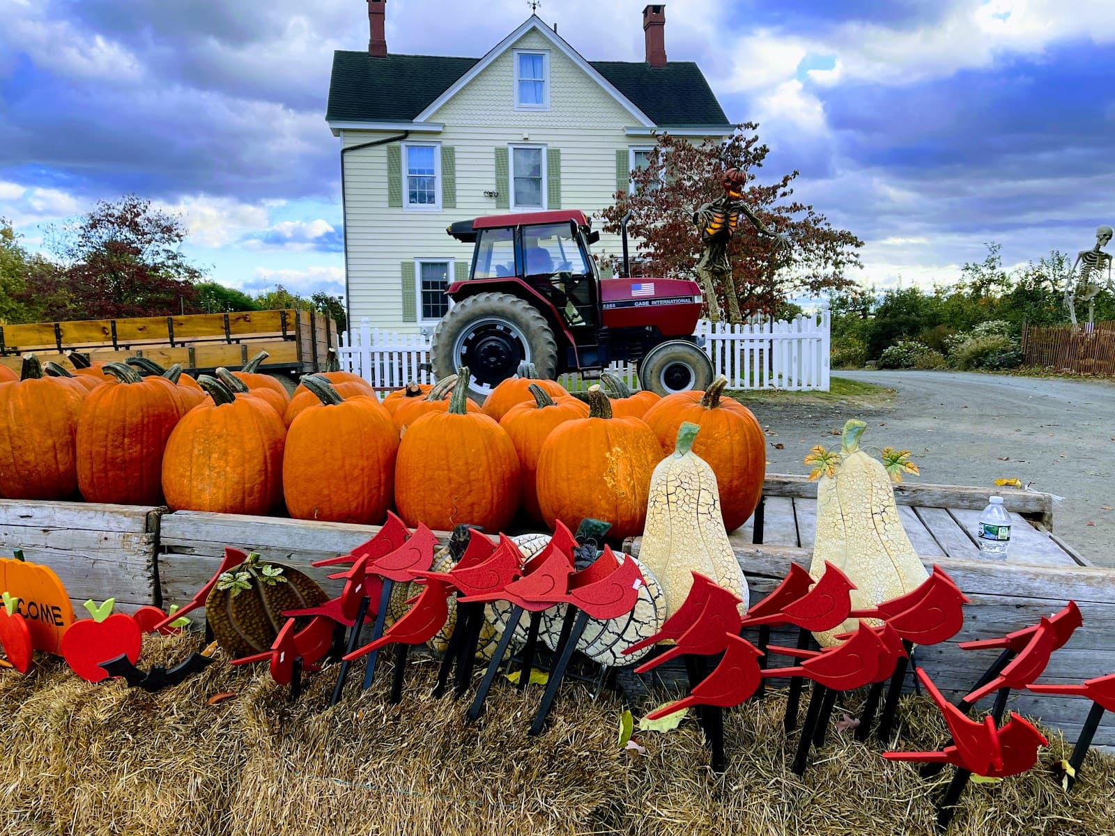 Dr Davies Farm u-pick farm