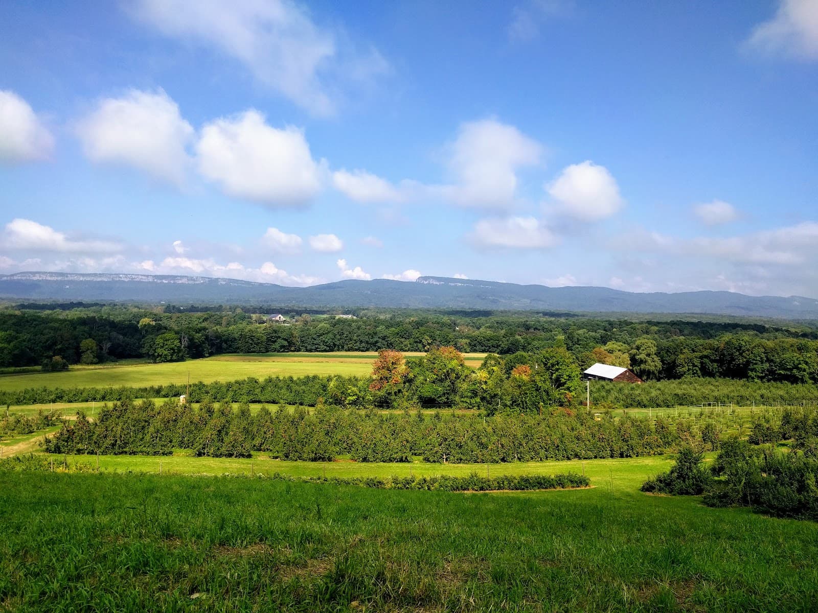 Dressel Farms u-pick farm