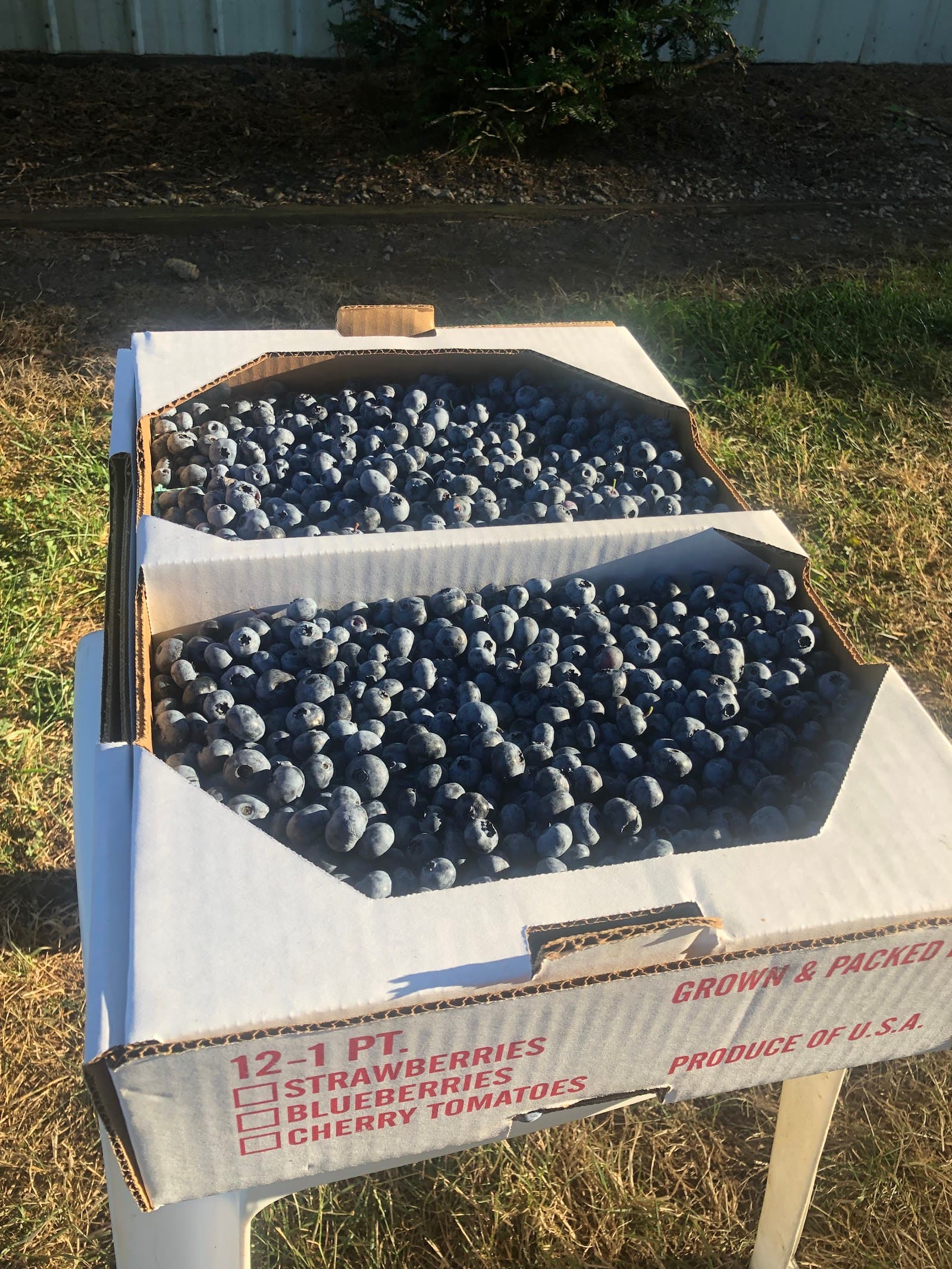 Empire Orchards u-pick farm