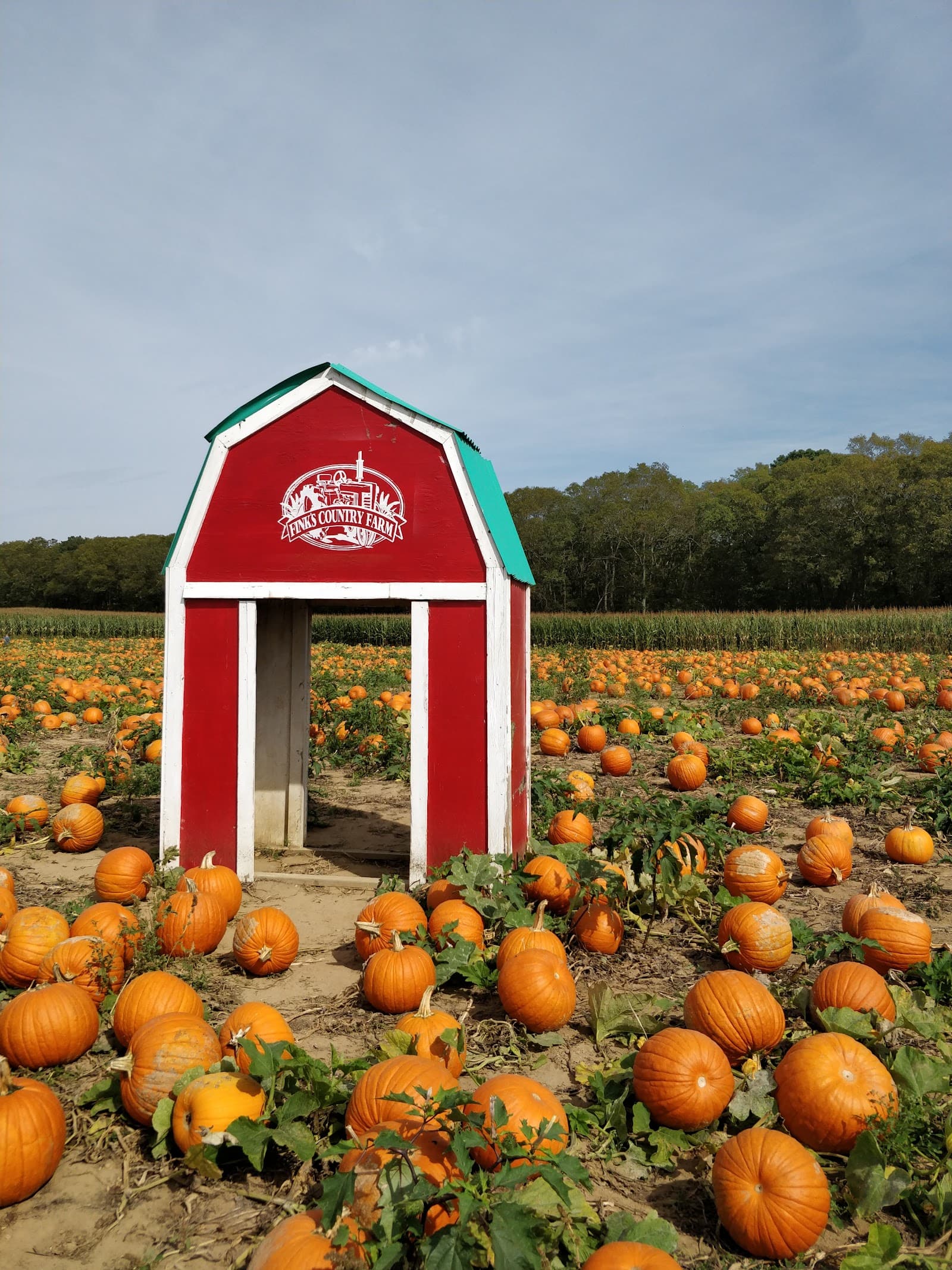 Fink's Country Farm u-pick farm