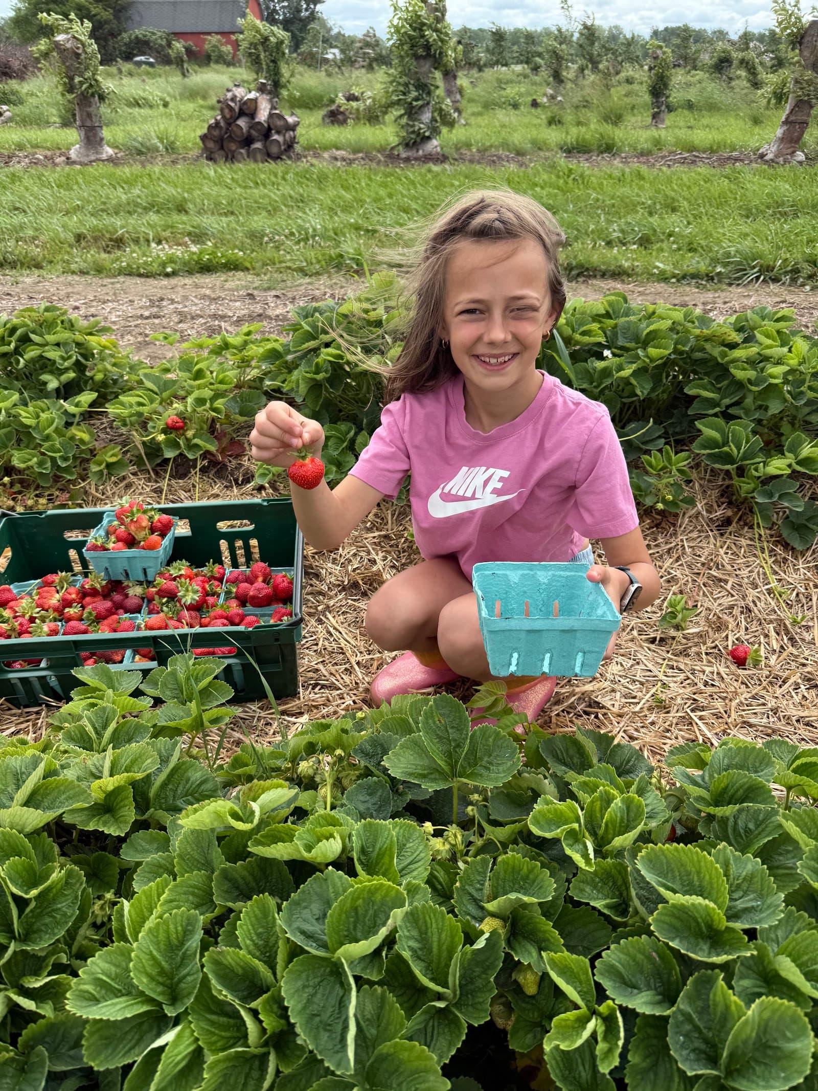 Goodman Farms u-pick farm