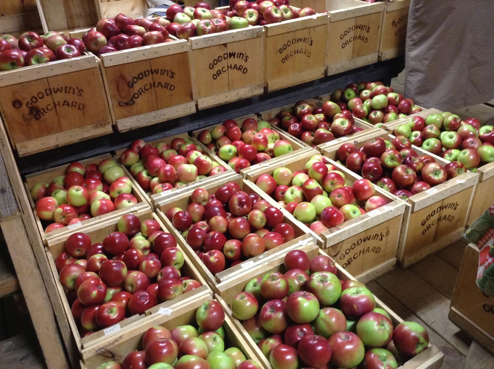 Goodwin's Orchard u-pick farm