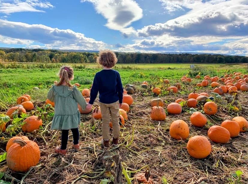 Kelder's Farm u-pick farm