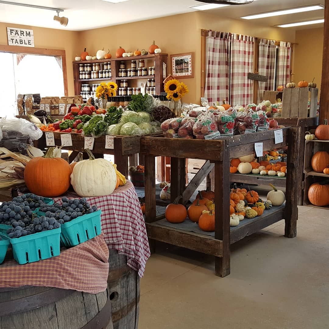 Kristy's Barn u-pick farm