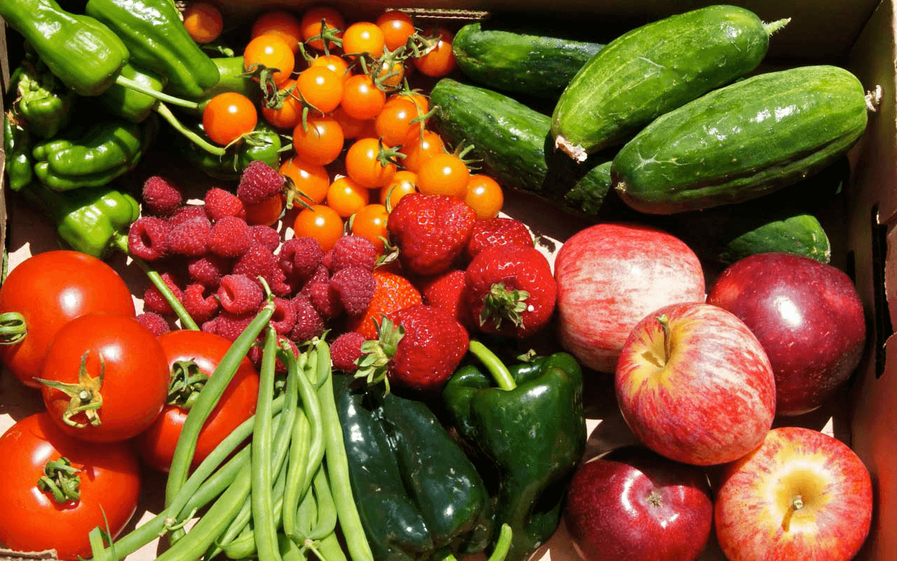 Live Earth Farm: Community Supported Agriculture u-pick farm