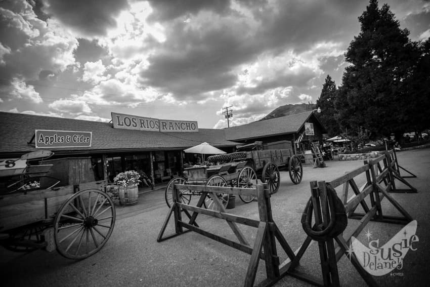 Los Rios Rancho u-pick farm