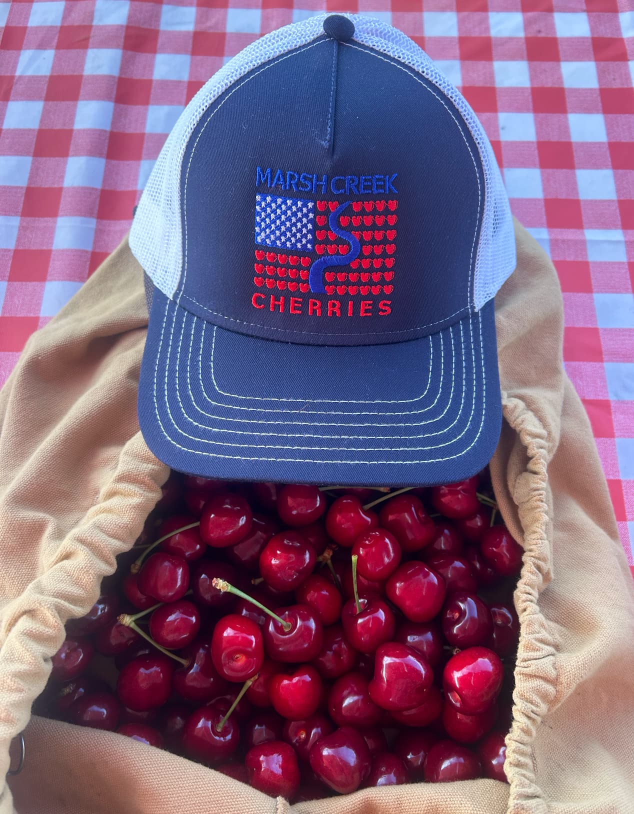 Marsh Creek Cherries u-pick farm