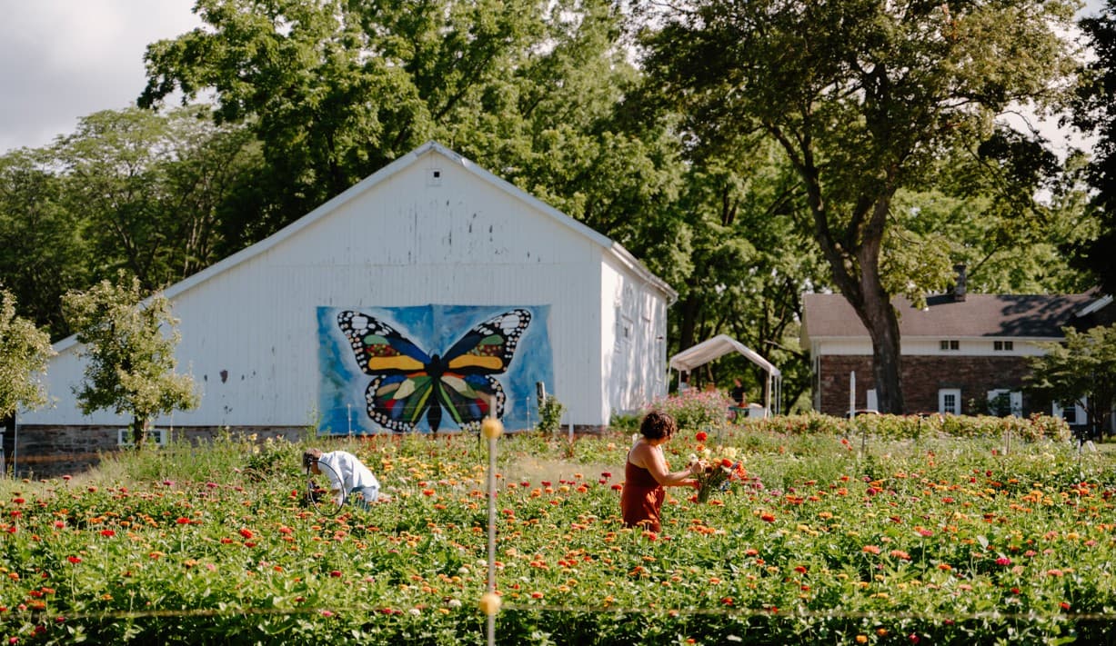 McCollum Orchards, LLC u-pick farm