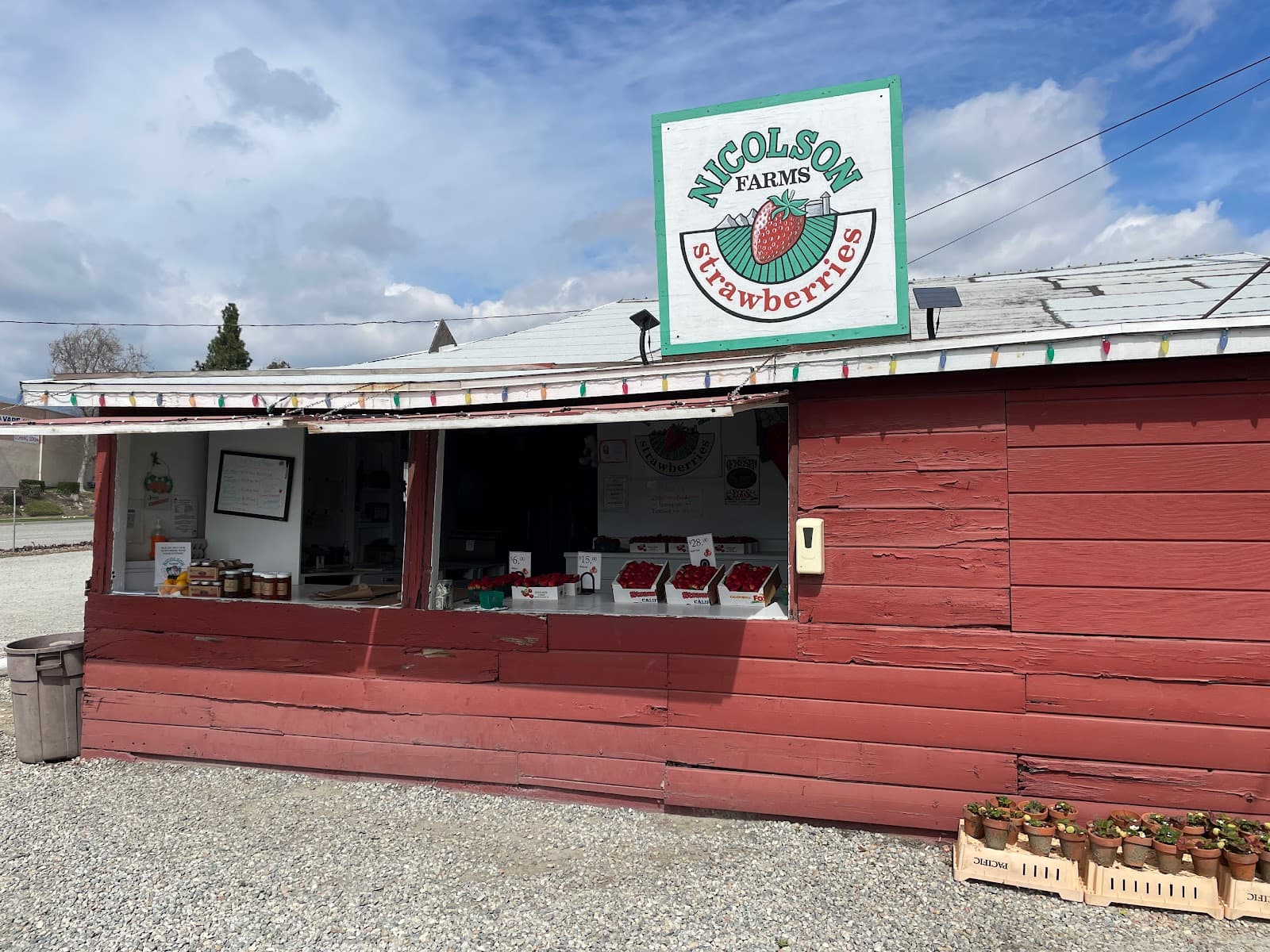 Nicolson Strawberries u-pick farm