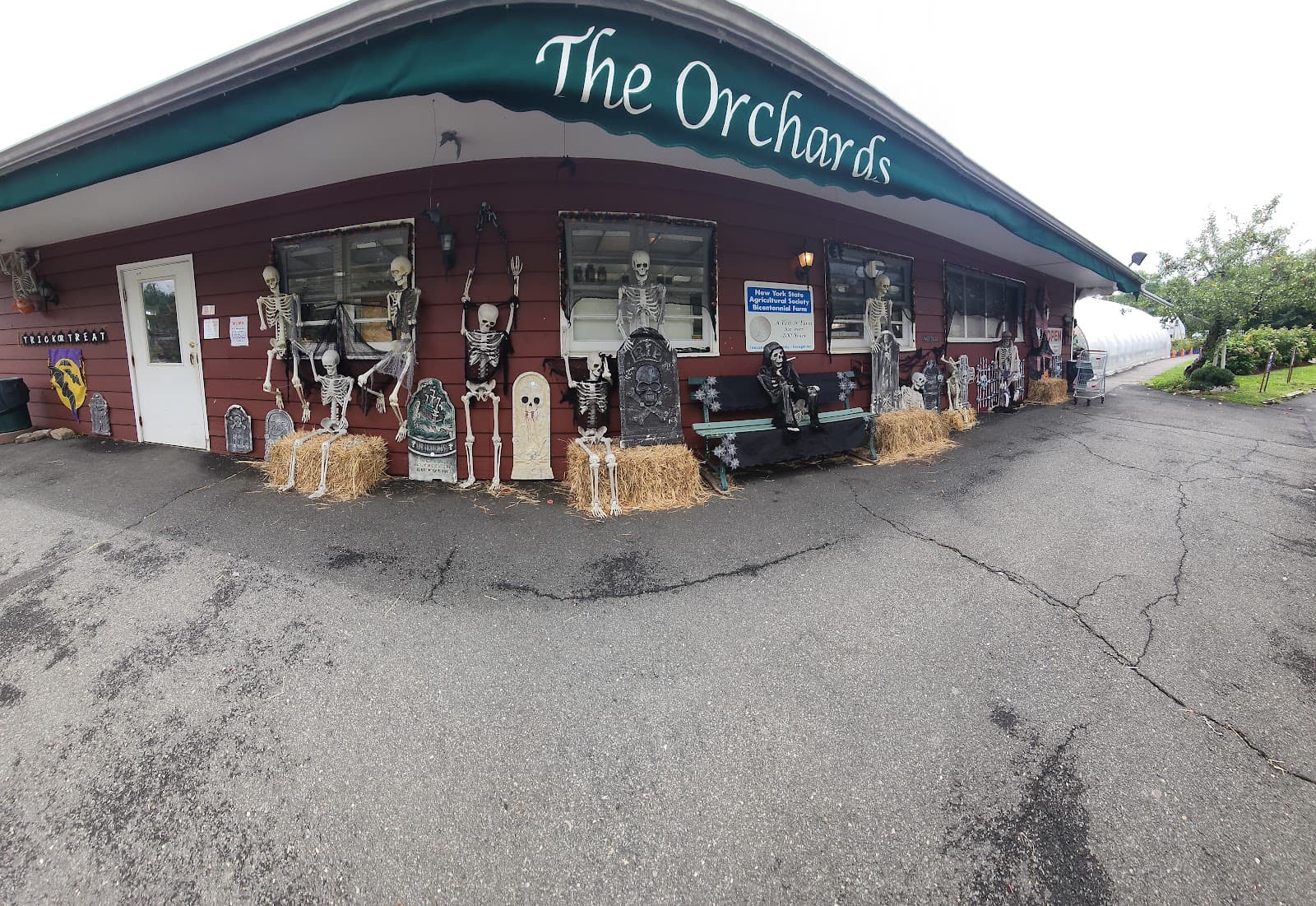 Orchards of Concklin u-pick farm