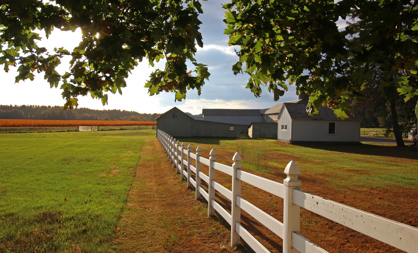 Pitney Meadows Community Farm u-pick farm
