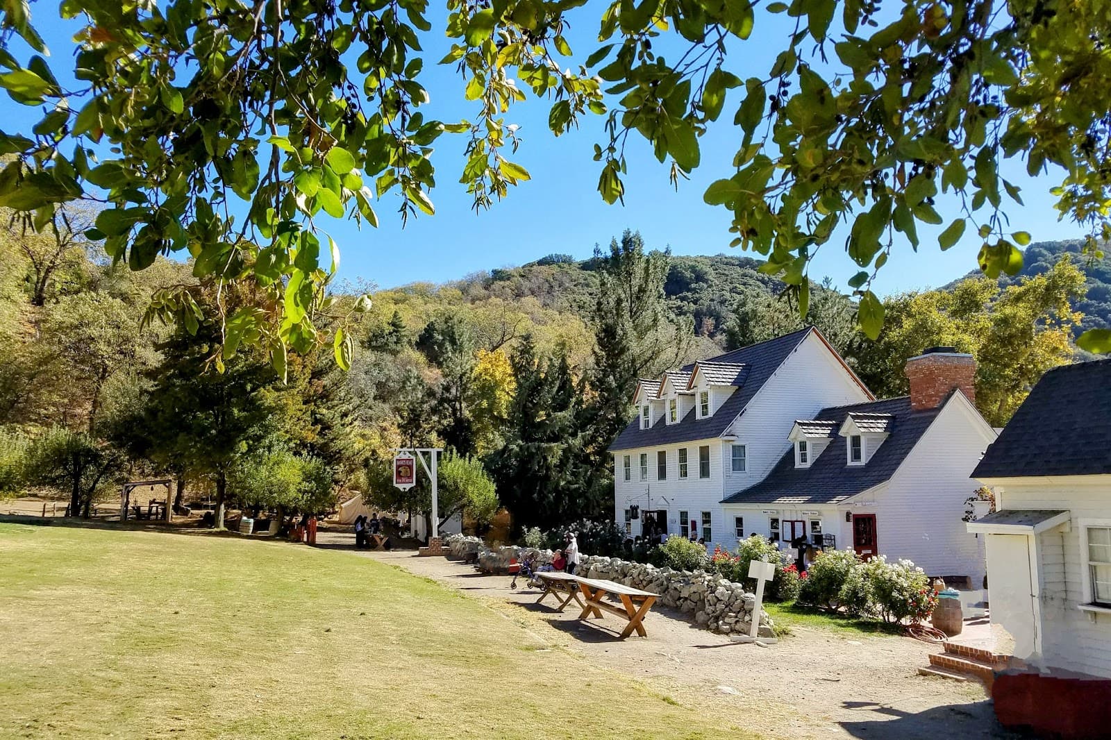 Riley's Farm u-pick farm