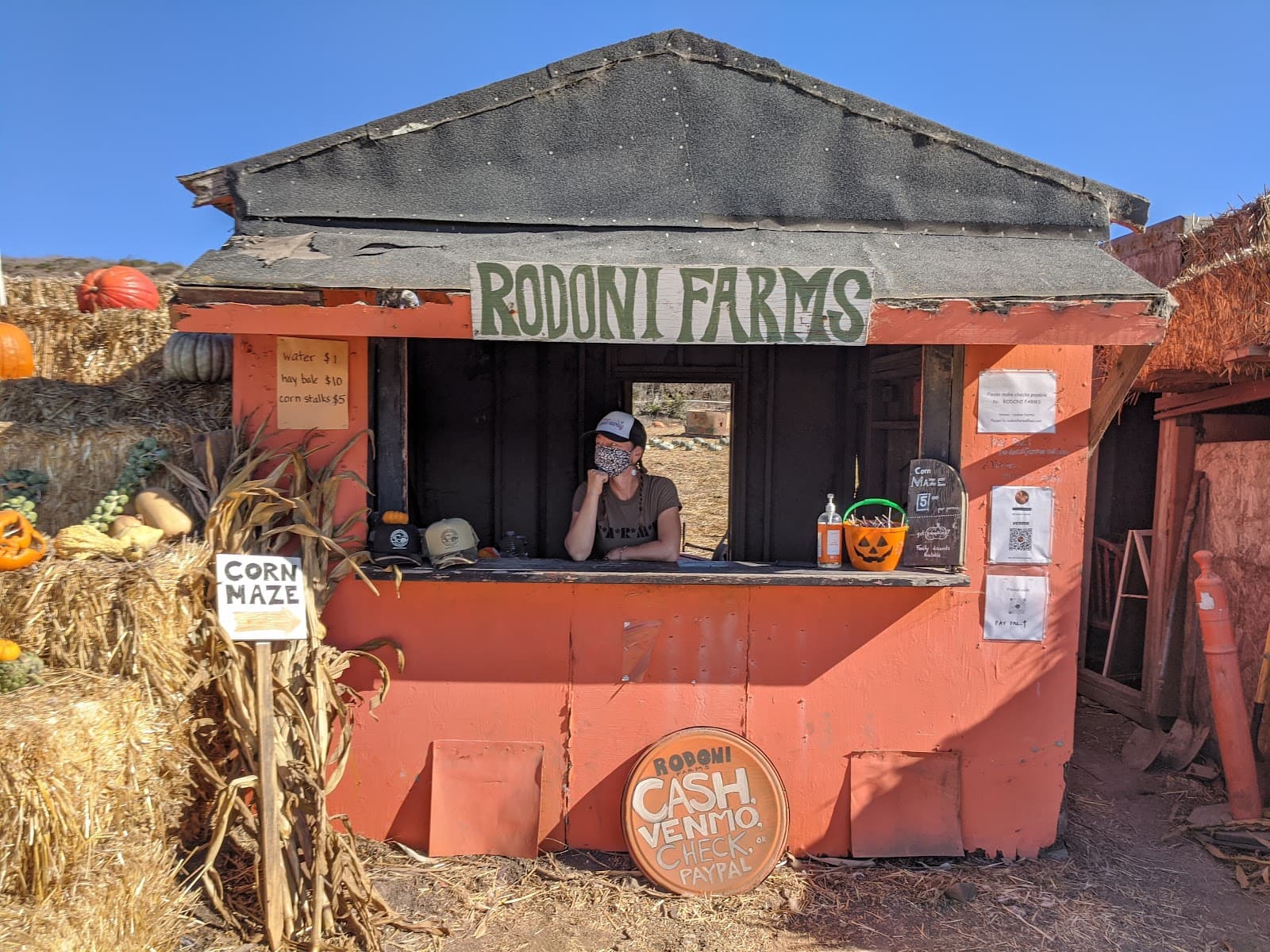 Rodoni Farms u-pick farm