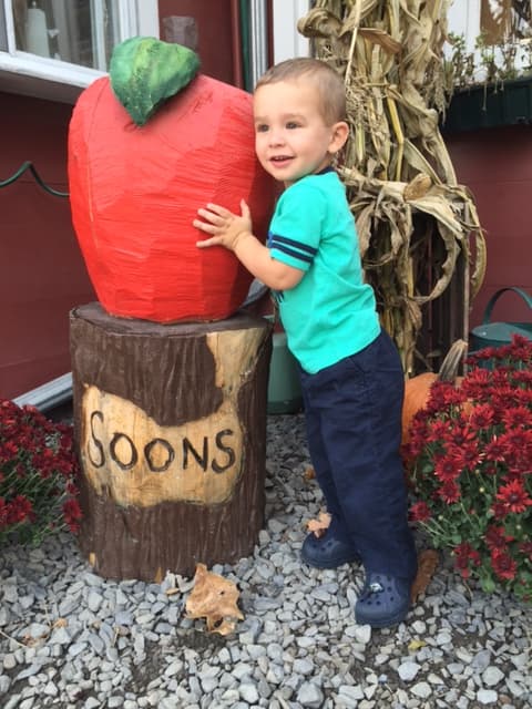 Soons Orchards u-pick farm