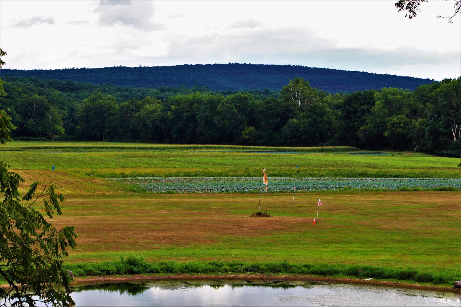Stoneledge Farm u-pick farm