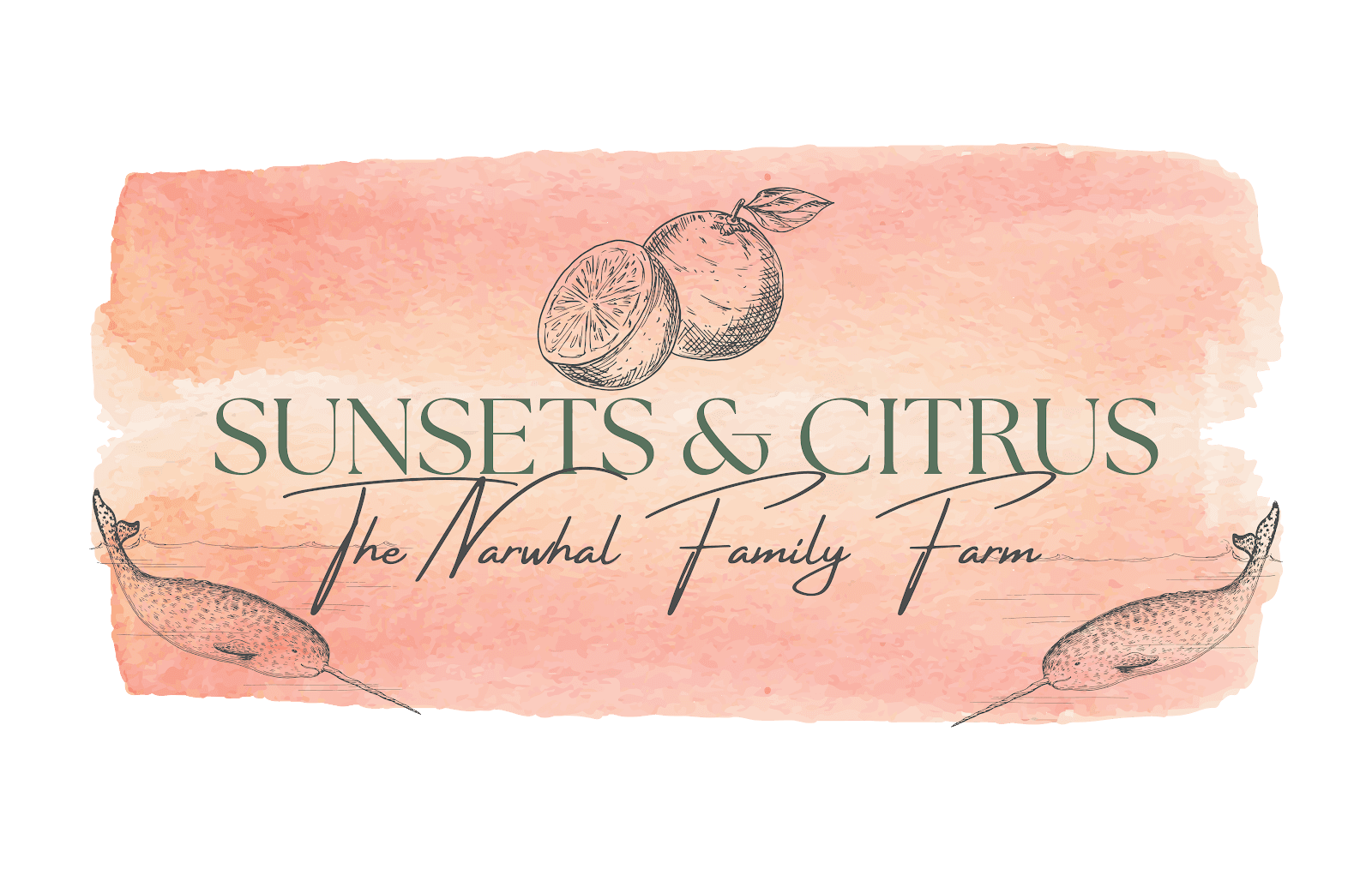 Sunsets & Citrus Family Farm u-pick farm