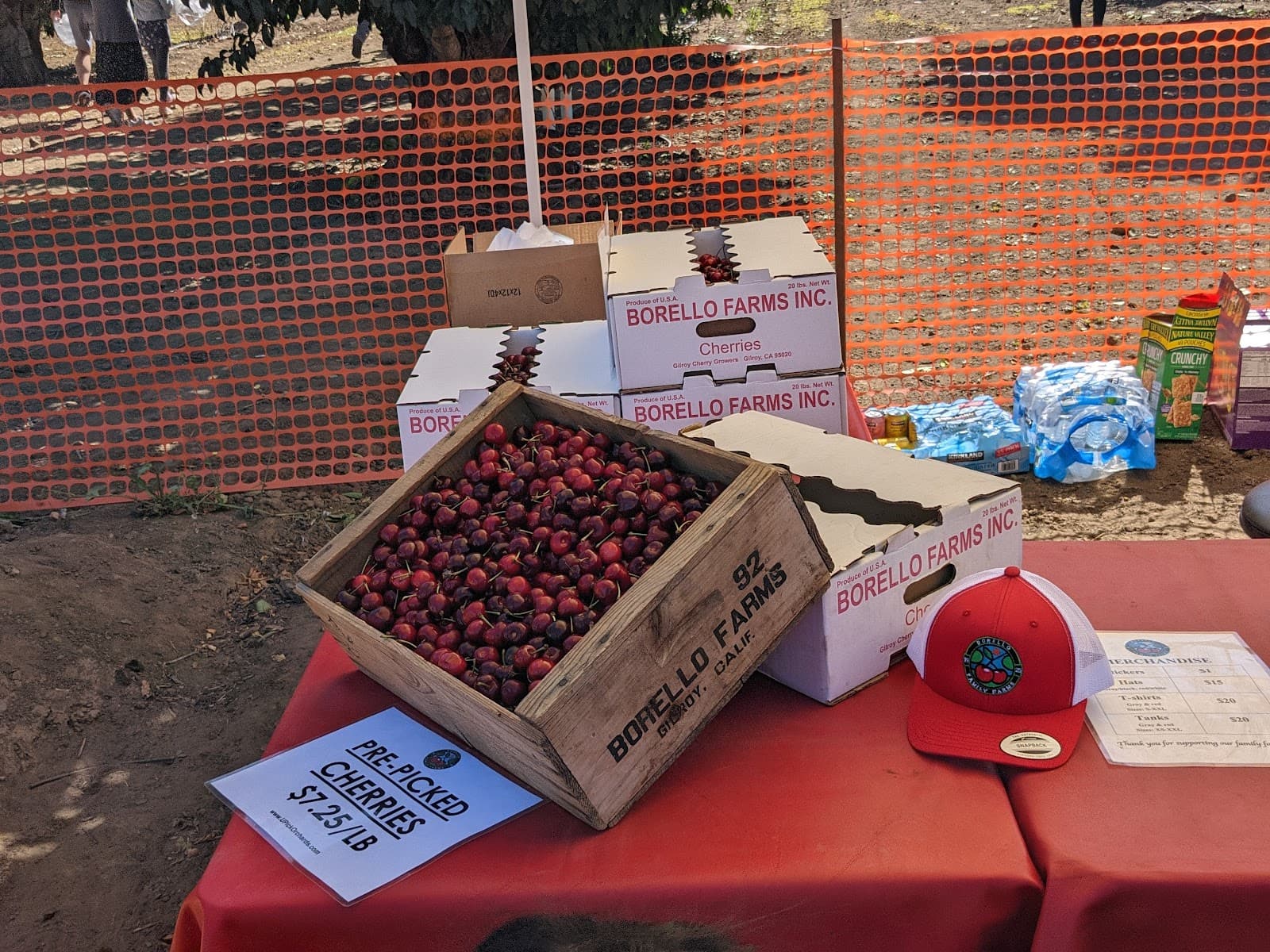 U Pick Orchards (Ranch 4) u-pick farm