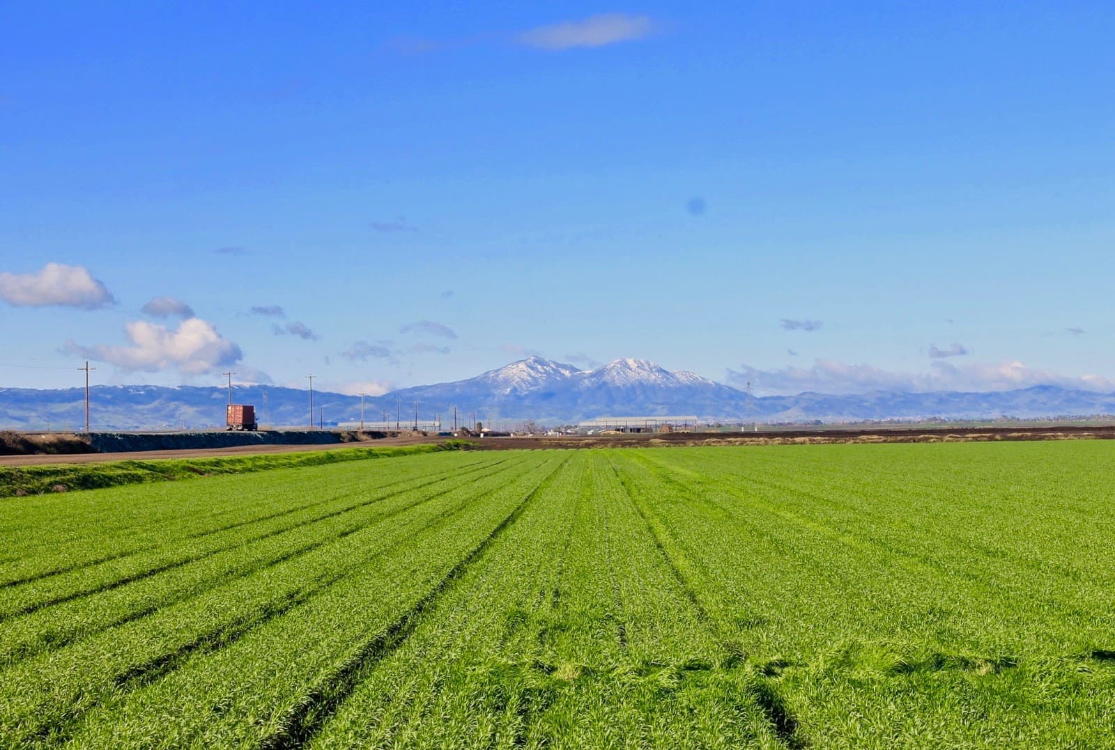 Victoria Island Farms u-pick farm