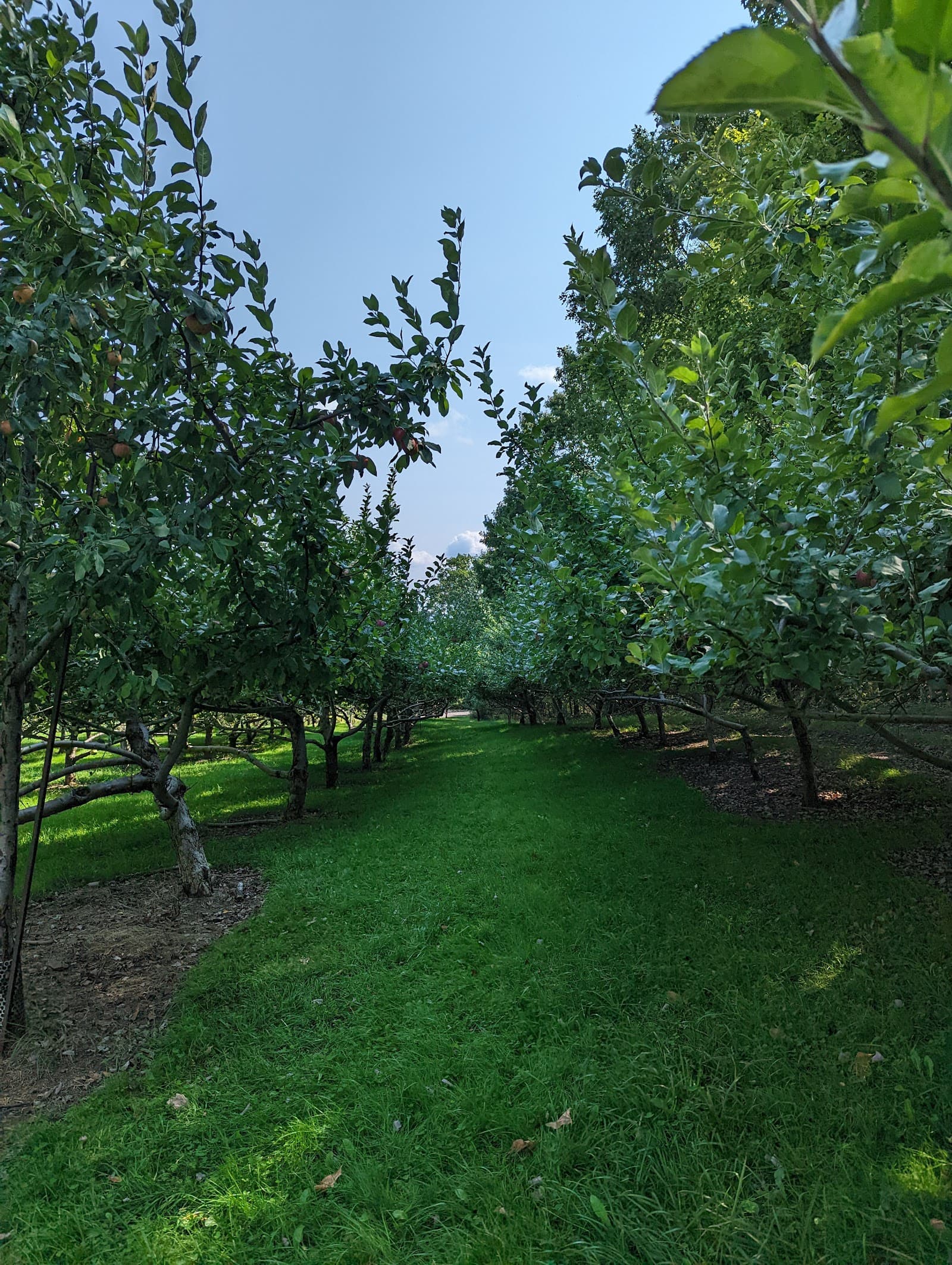 Wightman Fruit Farm u-pick farm