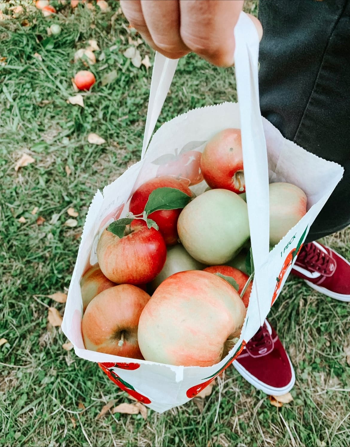 Woodside Farms u-pick farm