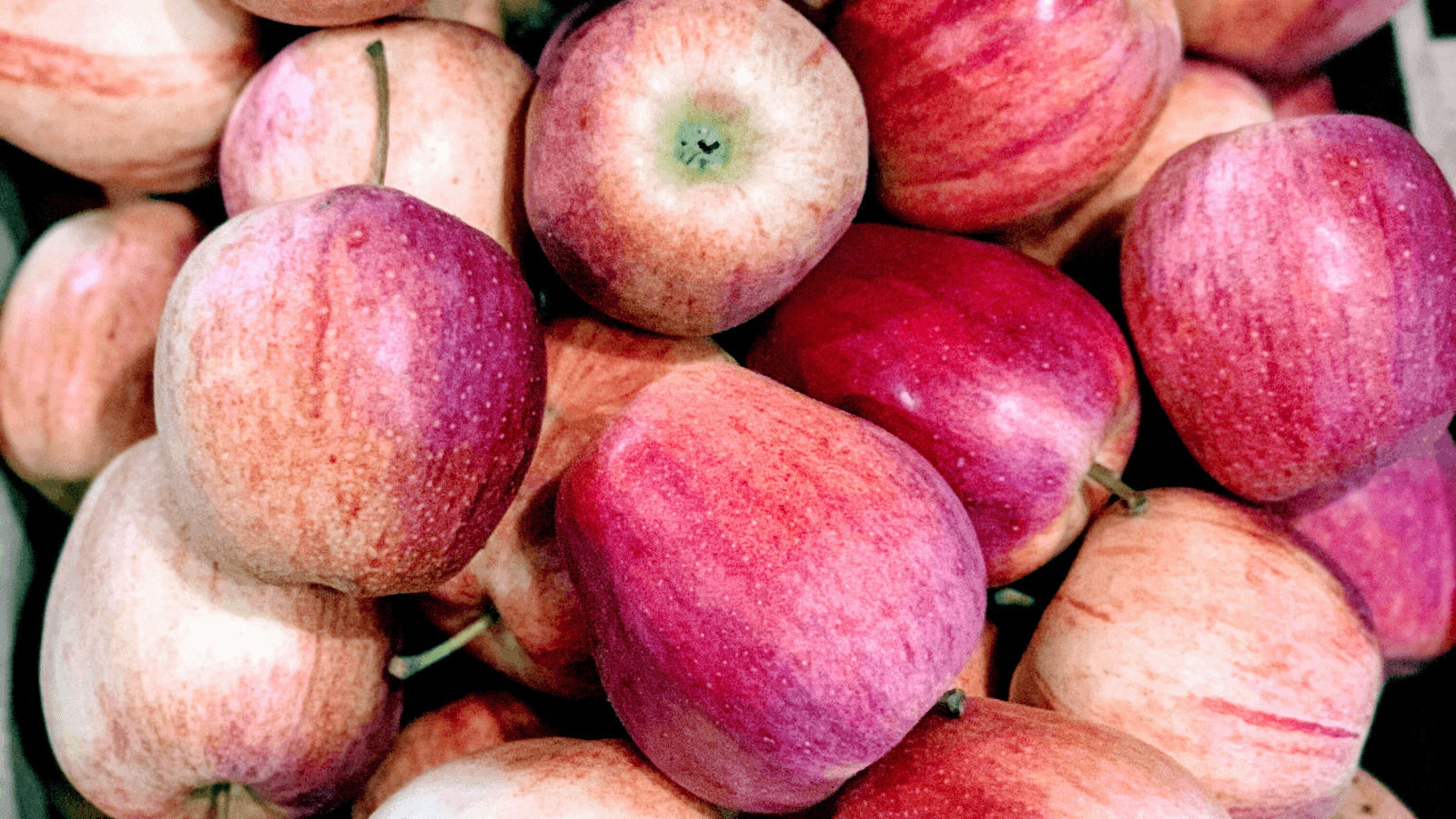 Woodside Orchards- Aquebogue Tasting Room u-pick farm