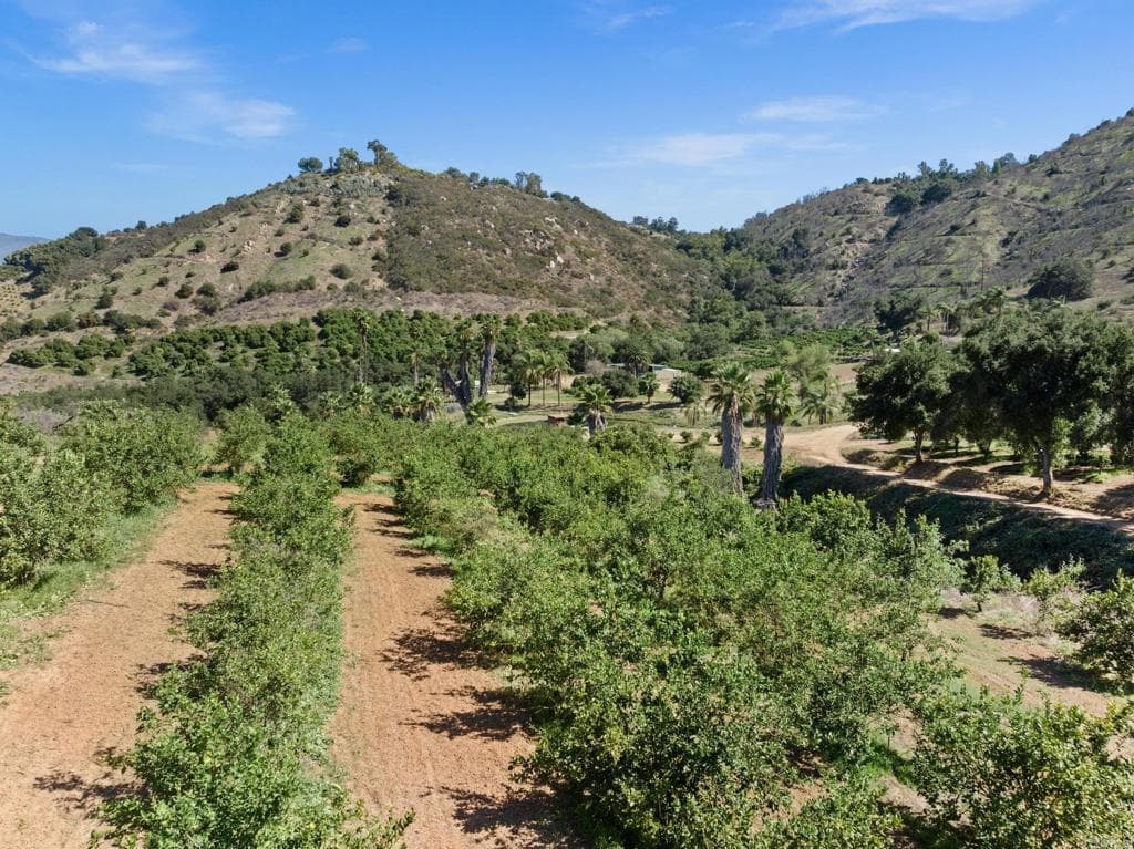 WynTru Ranch u-pick farm